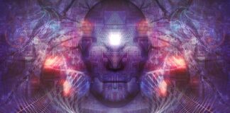 Detoxifierea glandei pineale