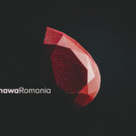 Regimul 7 OHSAWA | o nestemată a curelor naturale