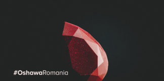 Regimul 7 OHSAWA | o nestemată a curelor naturale