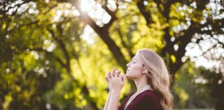 ALEGERILE | culegi ceea ce ai semănat