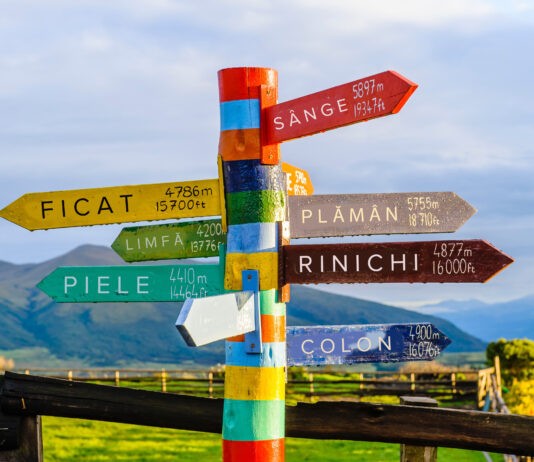 DETOX | merită, sau nu, să-l iei în seamă?